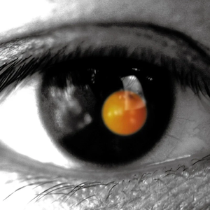 哪个网站能看日韩无码
