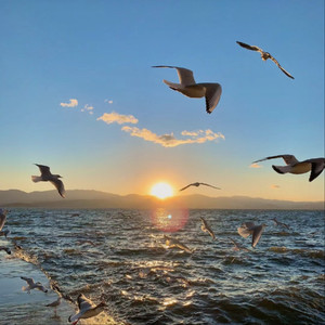 哪个网站能看日韩无码
